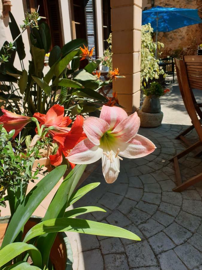 Hotel Segles - Turismo De Interior Campos  Luaran gambar